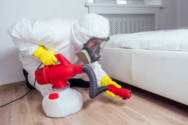 Best Flea Control Services  in Sparta, WI