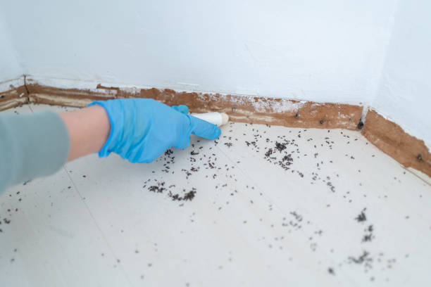 Best Best Pest Control Companies  in Sparta, WI